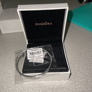 Pandora bangle bracelet 7.9 inches